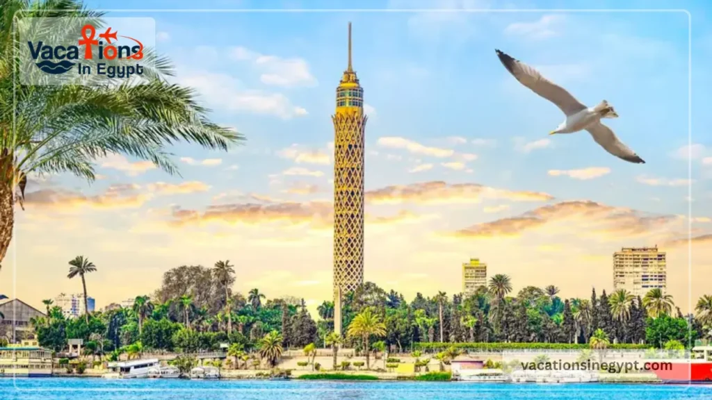 Cairo city tour