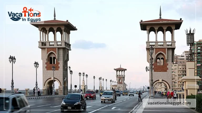Accessible Cairo and Alexandria Tour