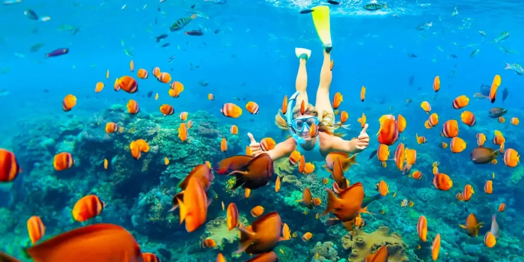 Hurghada snorkeling coral reef