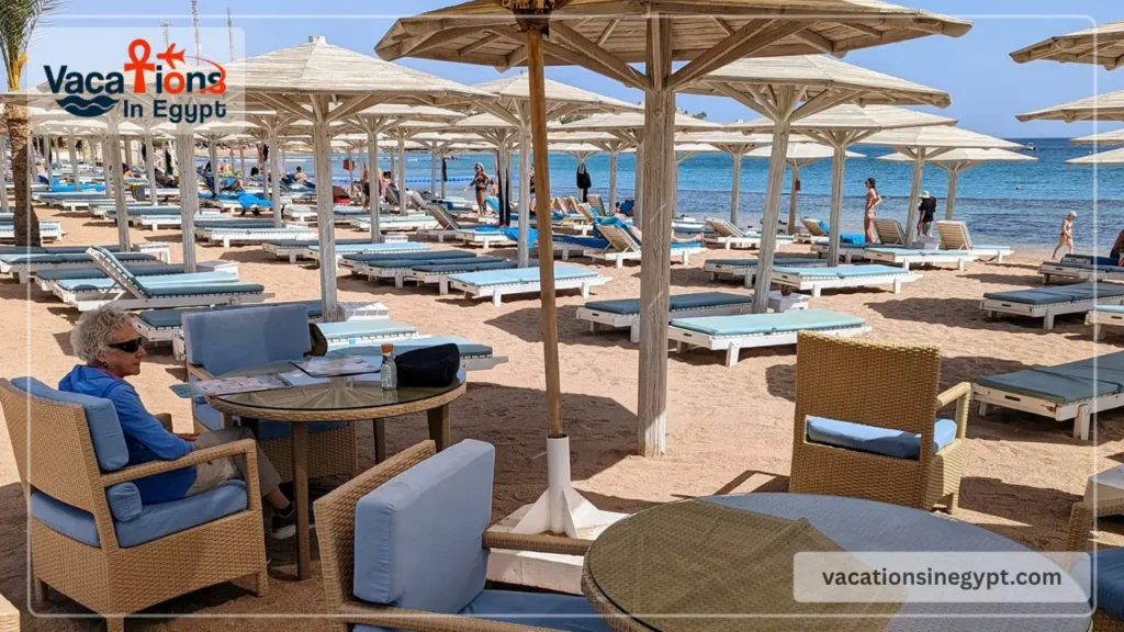 Sharm Food Guide: Restaurants Travelers Keep Repeating
