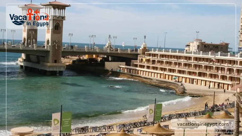 Alexandria’s Best Things To Do: A Simple Local-Style Guide