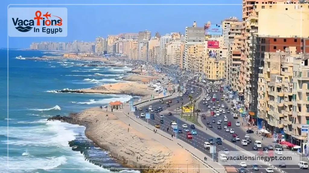 Alexandria’s Best Things To Do: A Simple Local-Style Guide