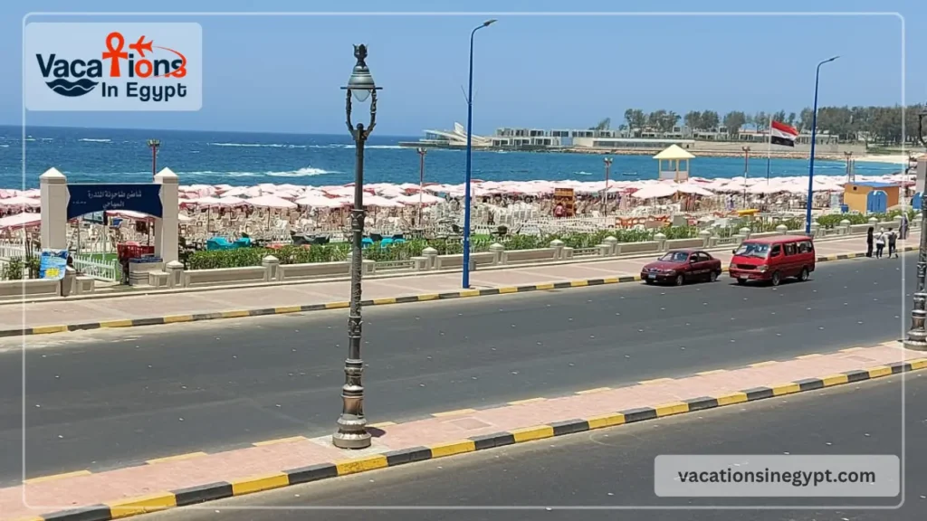Alexandria’s Best Things To Do: A Simple Local-Style Guide