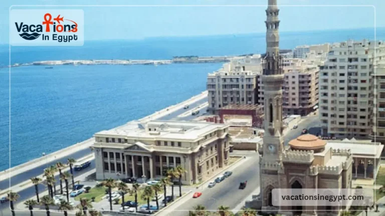 Alexandria Mosques & Culture Spots Worth Visiting