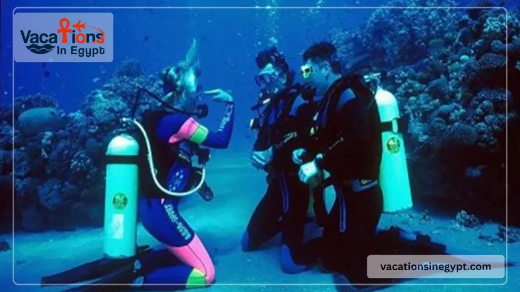 📸 Suggested image: snorkeling from beach Red Sea Egypt 