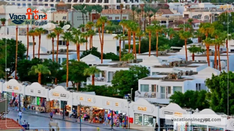 Red Sea Guide: What Makes This Coast Special