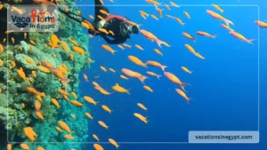 TOP 10 Things to Do in El Gouna