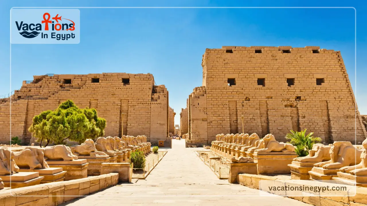 Royal Esadora Nile Cruise 8 Days from Luxor 